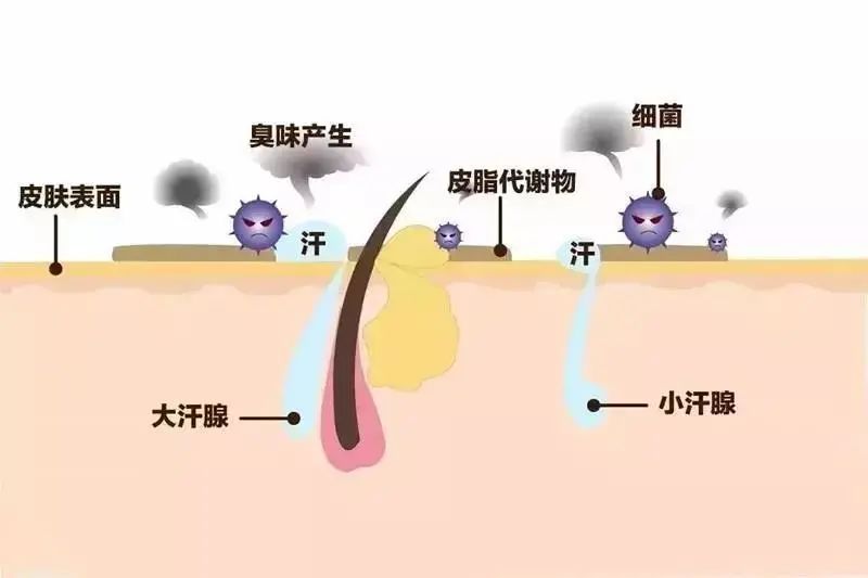 南山医院腋臭微创手术优惠活动及知识科普